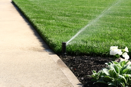 sprinkler-head1 - Irrigation, Bros. LLC Sprinkler Head